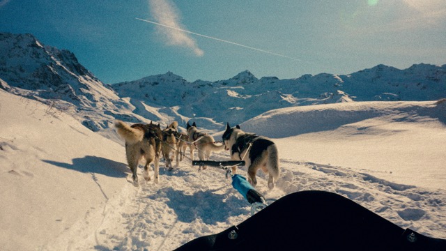 chiens de traineau à Val Thorens avec SWEA