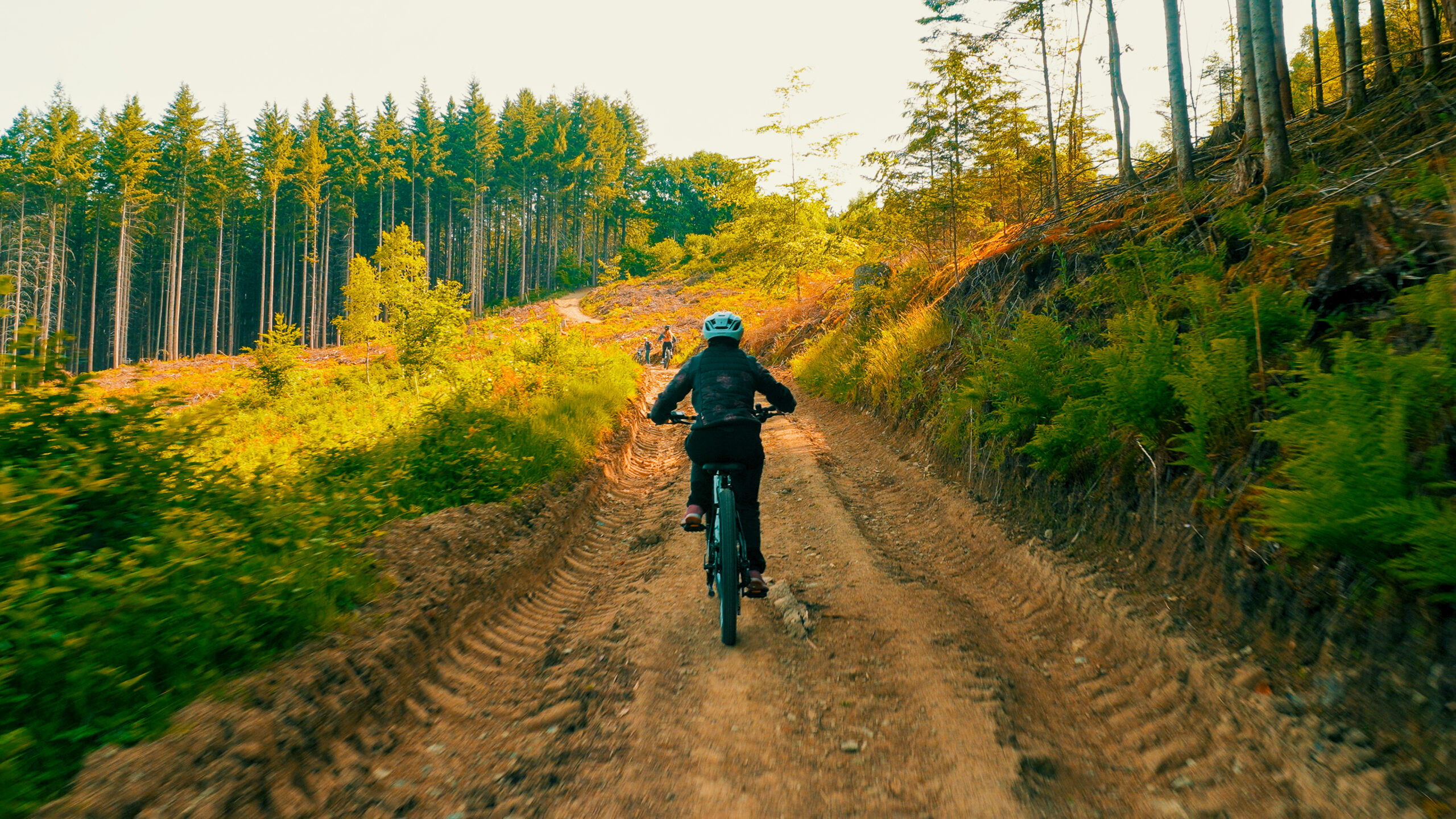 team building au vert